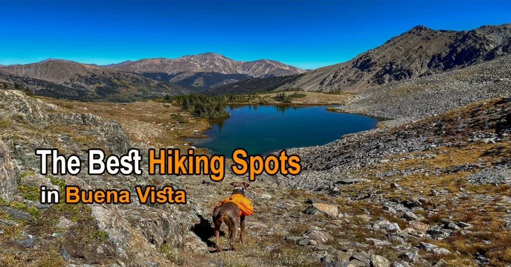 The Best Hiking Spots in Buena Vista